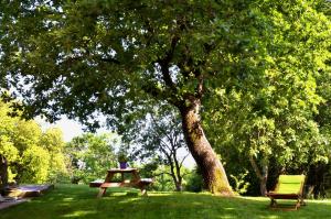 A garden outside Il Venaio