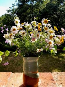 A garden outside Il Venaio