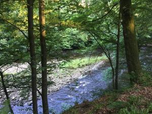 Billede fra billedgalleriet på Broomhills Farm River Eco Pods i Carlisle