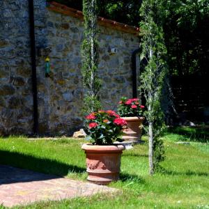 A garden outside Il Venaio