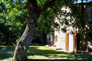 A garden outside Il Venaio