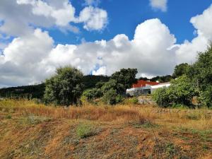 a house in the middle of a field with trees at Vinha do Gaio in Monchique