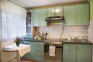 a kitchen with green cabinets and a sink at Górska Kraina in Bielsko-Biała