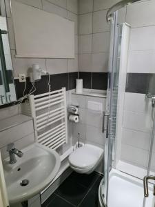 La salle de bains est pourvue d'un lavabo, de toilettes et d'une douche. dans l'établissement Shop 23, à Hambourg