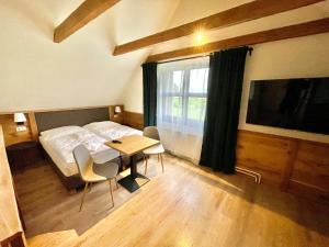 TV a/nebo společenská místnost v ubytování Villa Pinus Slovenský raj - Hotel Čingov dependance
