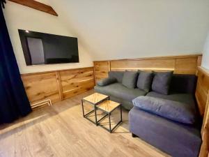 TV a/nebo společenská místnost v ubytování Villa Pinus Slovenský raj - Hotel Čingov dependance