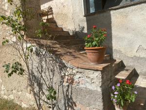 un conjunto de escaleras con una maceta de flores. en Casale nella campagna umbra, en Costacciaro