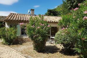 a small house with bushes in front of it at Alpilles Cottage Philippe's Farm Gite 55m2 - 2 chambres - calme - piscine mas des figues - agritourisme bio - 3km Saint Rémy de Provence - Parc Naturel Régional des Alpilles - 6km Baux de Provence - in Saint-Rémy-de-Provence