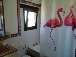 Phòng tắm tại Finca Casa Halcon