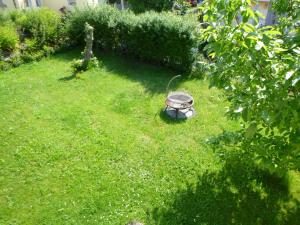 an overhead view of a garden with a bucket in the grass at Ilkas Inn in Vielbrunn