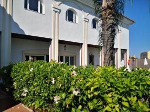 a white house with a palm tree and flowers at La Luna Blanca in Torremolinos