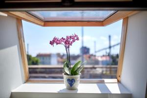 a flower in a vase sitting on a window sill at Villa Bea in Bratislava