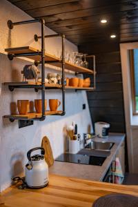 kuchnia z czajnikiem elektrycznym na ladzie w obiekcie Trzy Owce - nowoczesne domki w górach w mieście Białka Tatrzanska