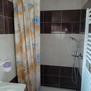 a bathroom with a shower and a sink at Rooms Marijanović Plitvice in Vrelo Koreničko