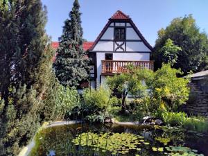 ein Haus mit einem Teich davor in der Unterkunft Pusteblume in Groitzsch