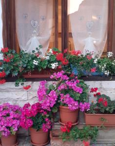 梅扎诺Casa Jolie的相册照片 更多9张照片