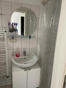 ein Bad mit einem Waschbecken, einem Spiegel und einer Dusche in der Unterkunft Ferienhaus Rohde - Dargun am Waldeck in Dargun