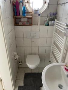 a small bathroom with a toilet and a sink at Ferienhaus Rohde - Dargun am Waldeck in Dargun