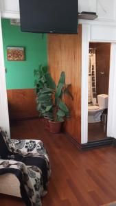 Posezení v ubytování Hostal Dinamarca + 37 fotografií