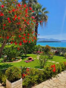 a park with red flowers and a palm tree and the ocean at Daglas Beach House in Nydri