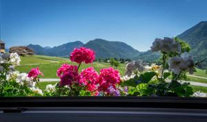 a group of flowers in a window with mountains in the background at Lovely house with mountain view & big garden in Bad Aussee in Bad Aussee