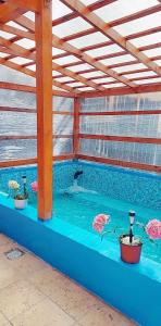 uma grande piscina com dois vasos de plantas em Pensiunea Floare de Colt em Băile Herculane