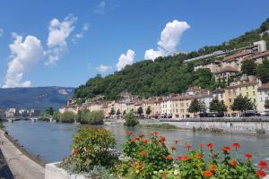 - une vue sur une rivière avec des bâtiments et des fleurs dans l'établissement Le Bohème, Cosy, Hypercentre, à Grenoble
