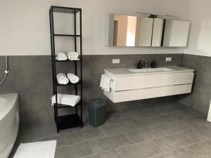 a bathroom with a sink and a mirror at FreiRaum in Annweiler am Trifels
