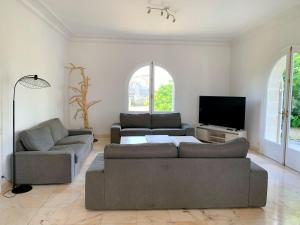 sala de estar con 2 sofás y TV de pantalla plana en Magnifique villa de charme avec piscine, en Casteljaloux