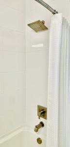 a bathroom with a shower curtain and a towel rack at Art House Hotel in Santa Rosa