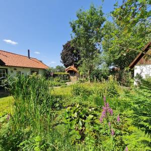 Afbeelding uit fotogalerij van B&B Helene Hoeve in Venhorst