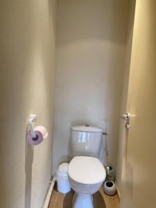 a small bathroom with a white toilet in a room at Grand appartement hyper centre haut standing in La Bourboule +56 photos