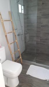 a bathroom with a toilet and a shower with a ladder at Hotel Terrazas del rio Negro in Pueblo Centenario