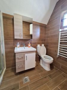une salle de bain avec toilettes et lavabo dans l'établissement Original Wooden Lodge 2, à Žabljak 7 autres photos