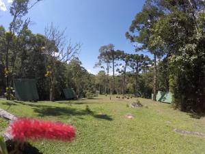a park with trees and a field with red flowers at Gran Camping Cabanas da Fazenda in Visconde De Maua