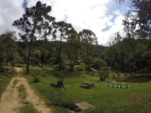 a picnic table in a field with trees and a dirt road at Gran Camping Cabanas da Fazenda in Visconde De Maua