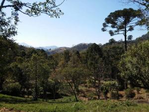 a view of a forest with mountains in the background at Gran Camping Cabanas da Fazenda in Visconde De Maua