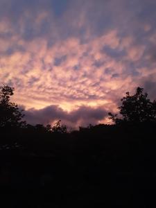 Afbeelding uit fotogalerij van ROYAL Tapo-Tapo in Patio