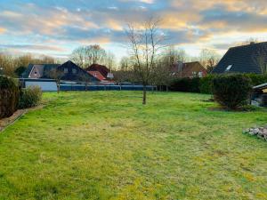 a field of grass with a tree in the middle at Luhne Boutique Pension in Rotenburg an der Wümme