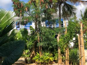 a beach with palm trees and palm trees at Aurora Boutique Hotel Jambiani in Jambiani