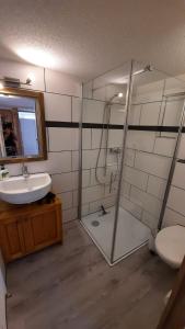 ein Bad mit einer Dusche, einem Waschbecken und einem WC in der Unterkunft Berner Oberland Am Thunersee in Därligen