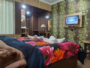 Hotel Grand Habib في سريناغار: غرفة نوم مع سرير وتلفزيون على الحائط