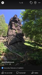 Príroda v okolí apartmánu