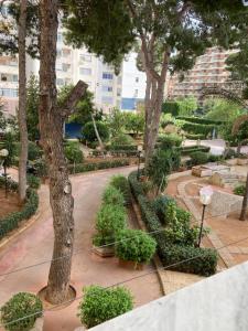a park with a tree and some bushes and trees at Casa Vincenza in Palermo