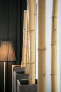 Foto Monsis asuva majutusasutuse Hotel St James galeriist
