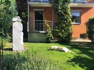 un perro tirado en el césped delante de una casa en MILLIEs hosting - Familienurlaub mit Hund in Kärnten en Sankt Paul im Lavanttal