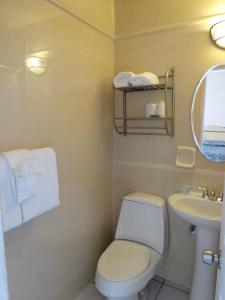 ein Bad mit einem WC und einem Waschbecken in der Unterkunft James Hotel in Miami Beach