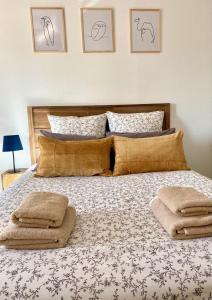 a bedroom with a large bed with pillows on it at Appartement en face Hopital Nord in Saint-Priest-en-Jarez