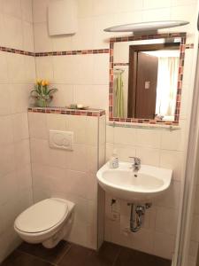 a bathroom with a toilet and a sink at Ferien-Garconniere Hemetsberger in Weyregg +8 photos