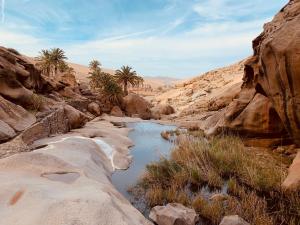 a river in a desert with palm trees and rocks at El Remanso in Pájara